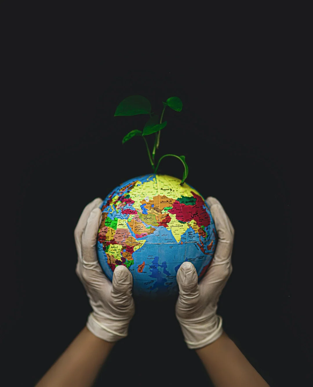 business sustainability