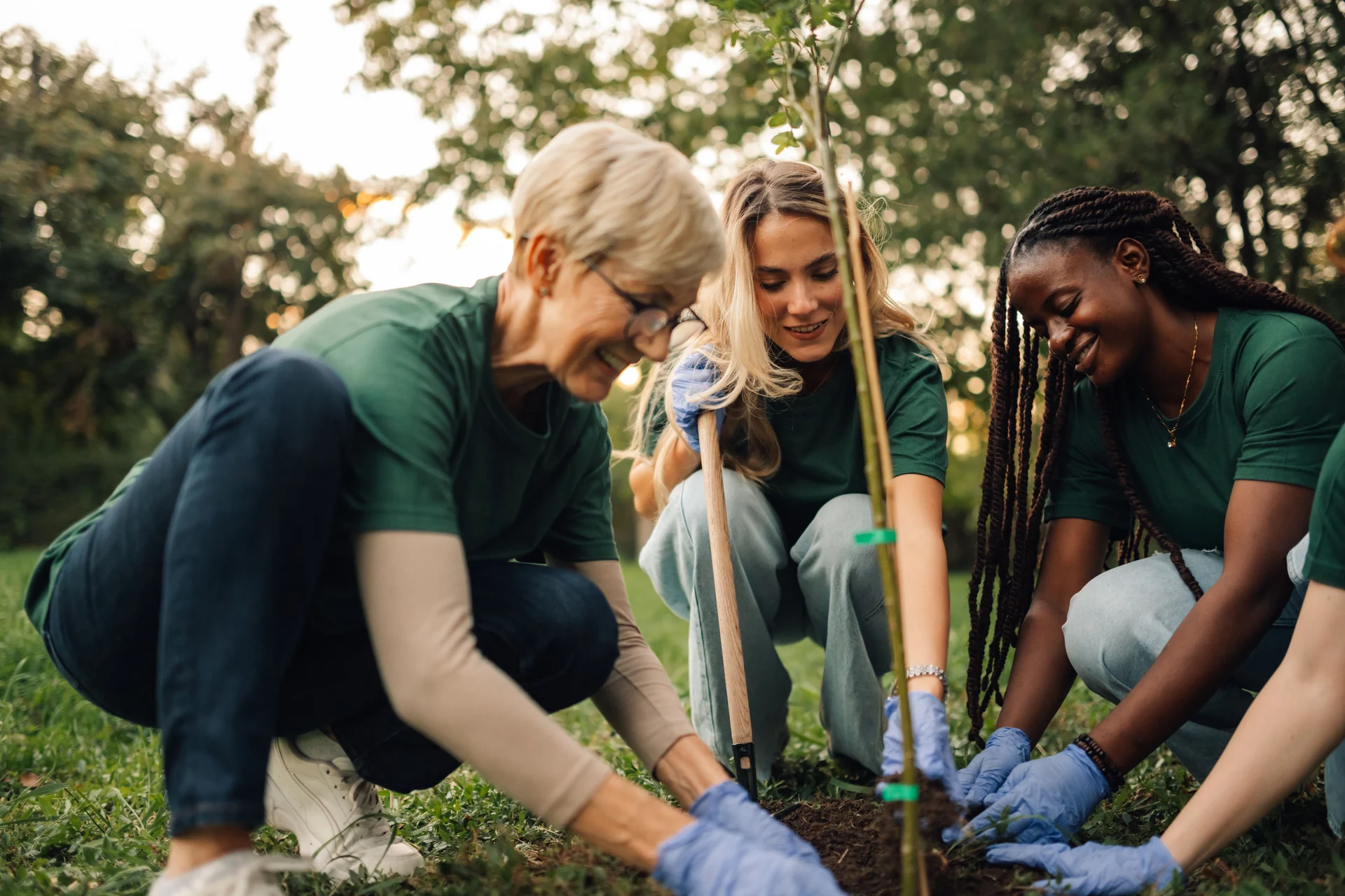 tree planting