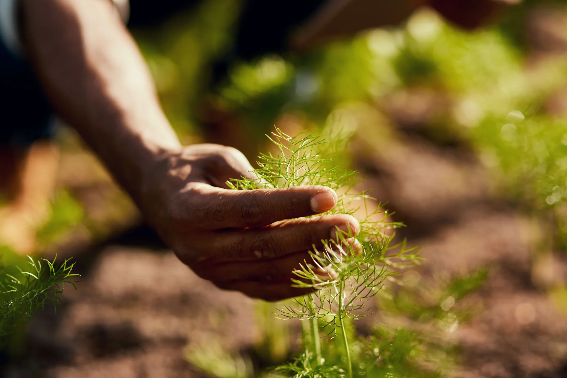 sustainable business