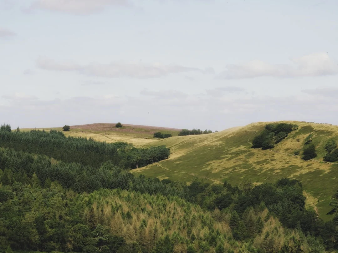 walton county landscape