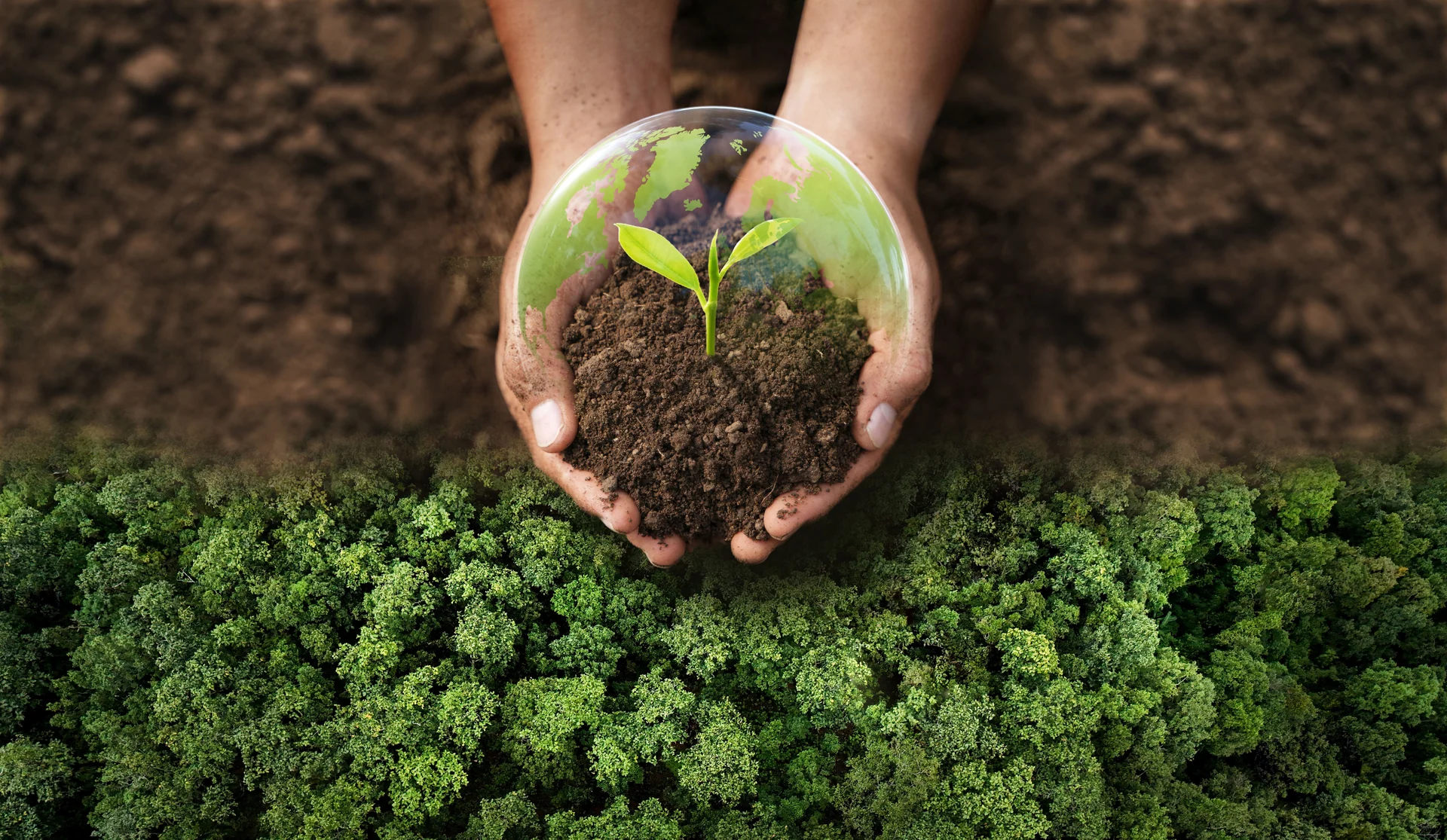environmental conservation