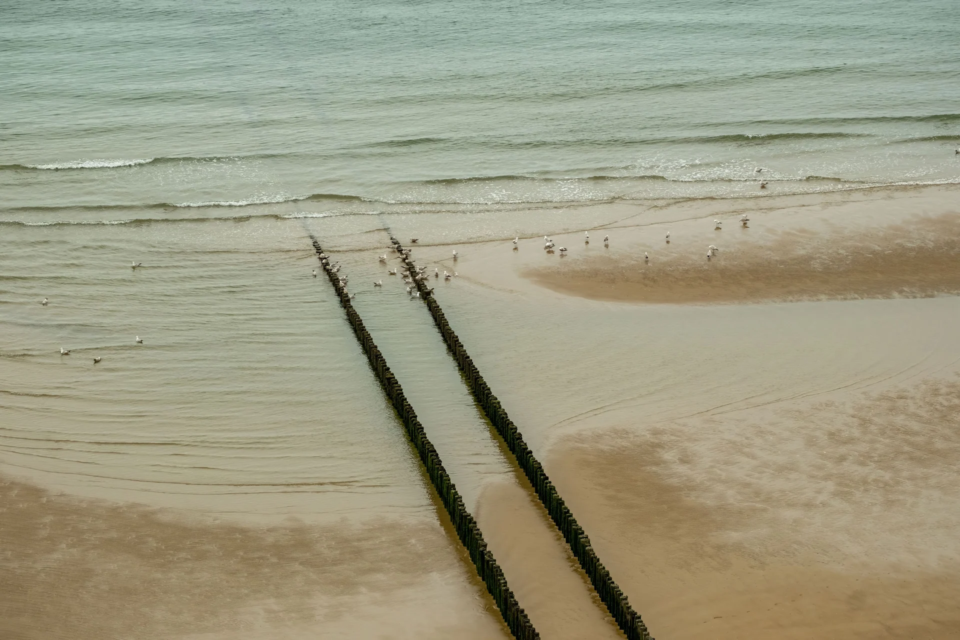 coastal management