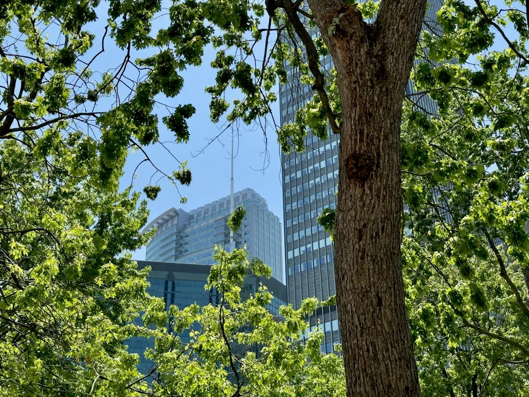 green cityscape