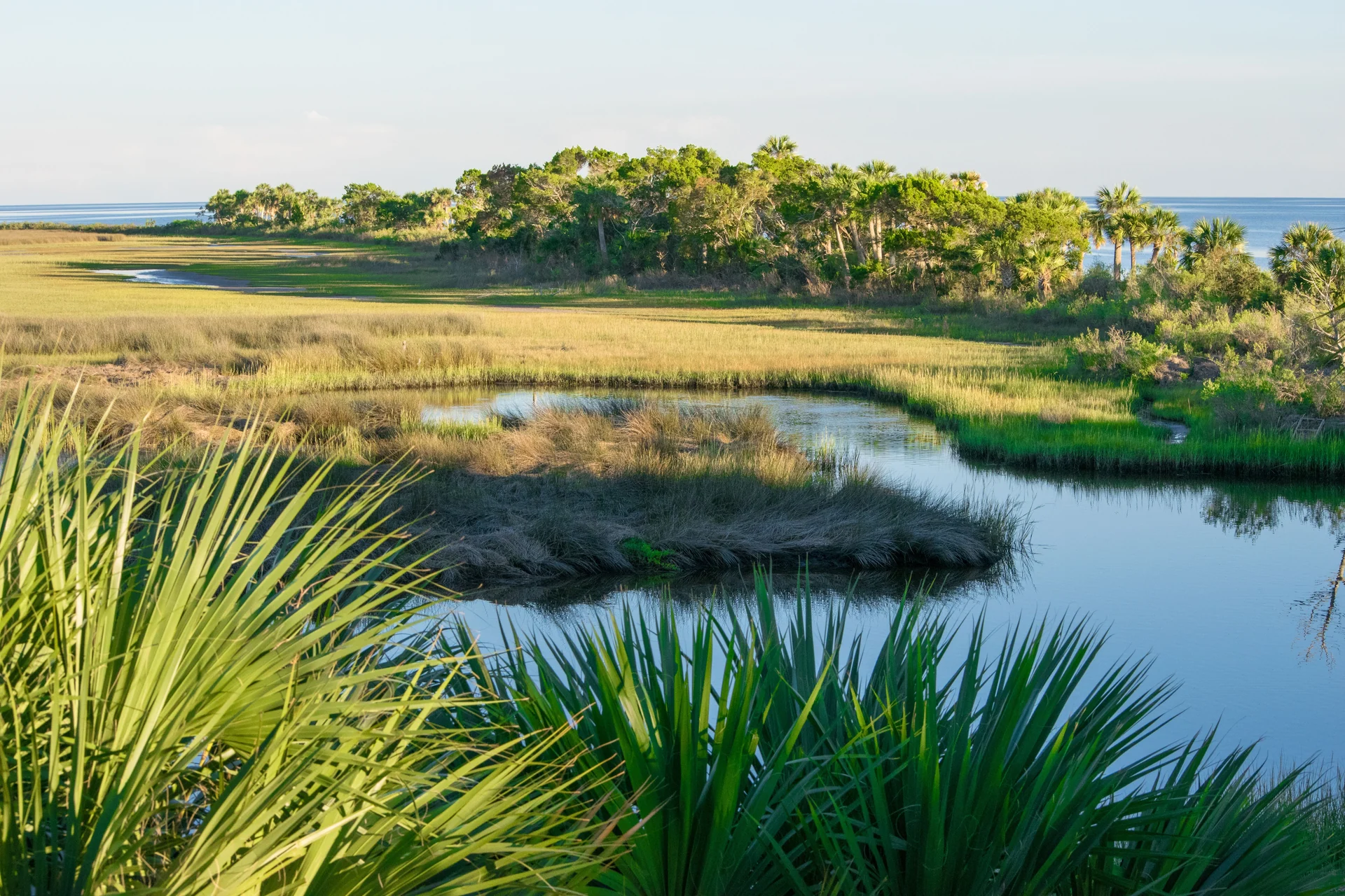 florida ecosystems