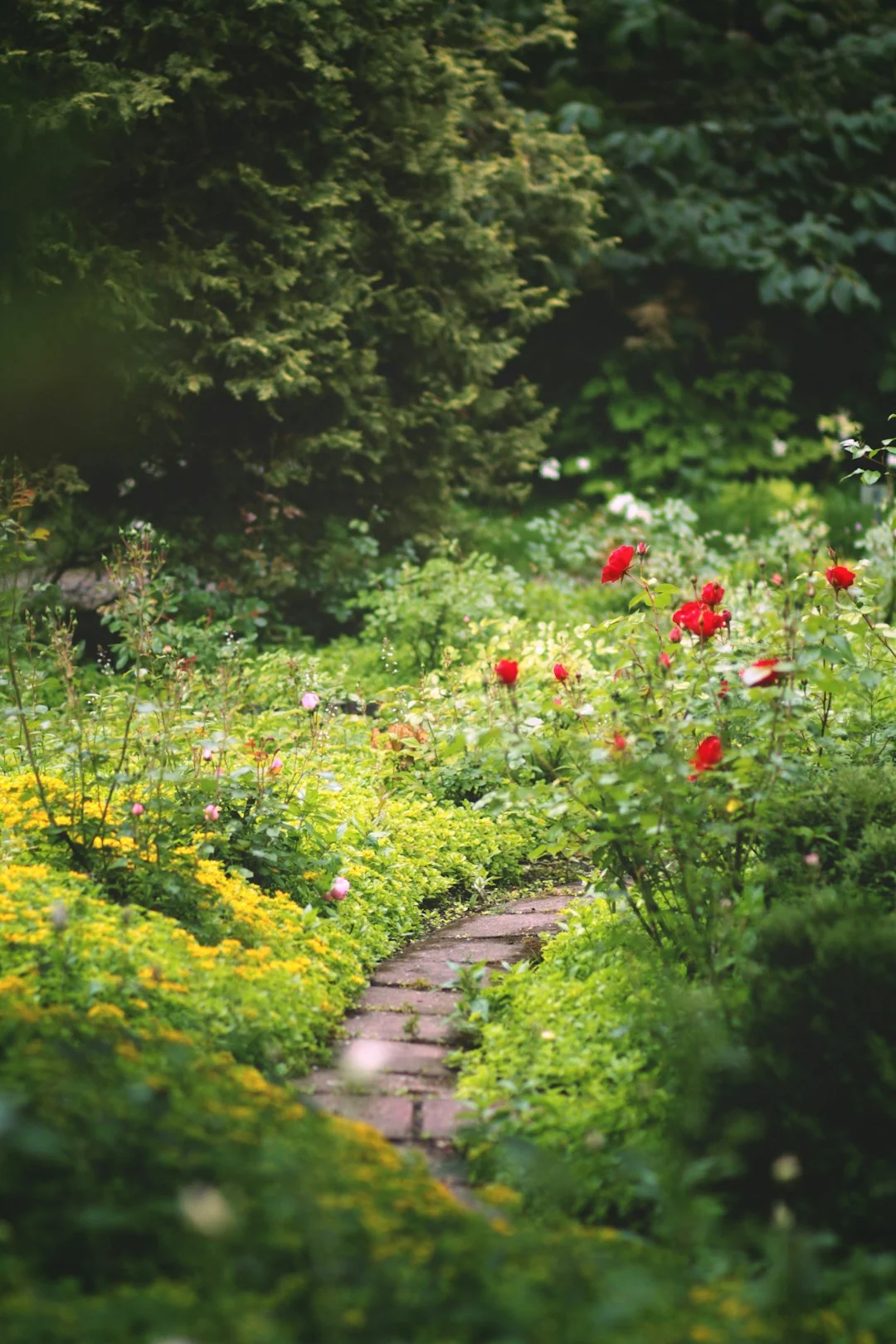 sustainable garden