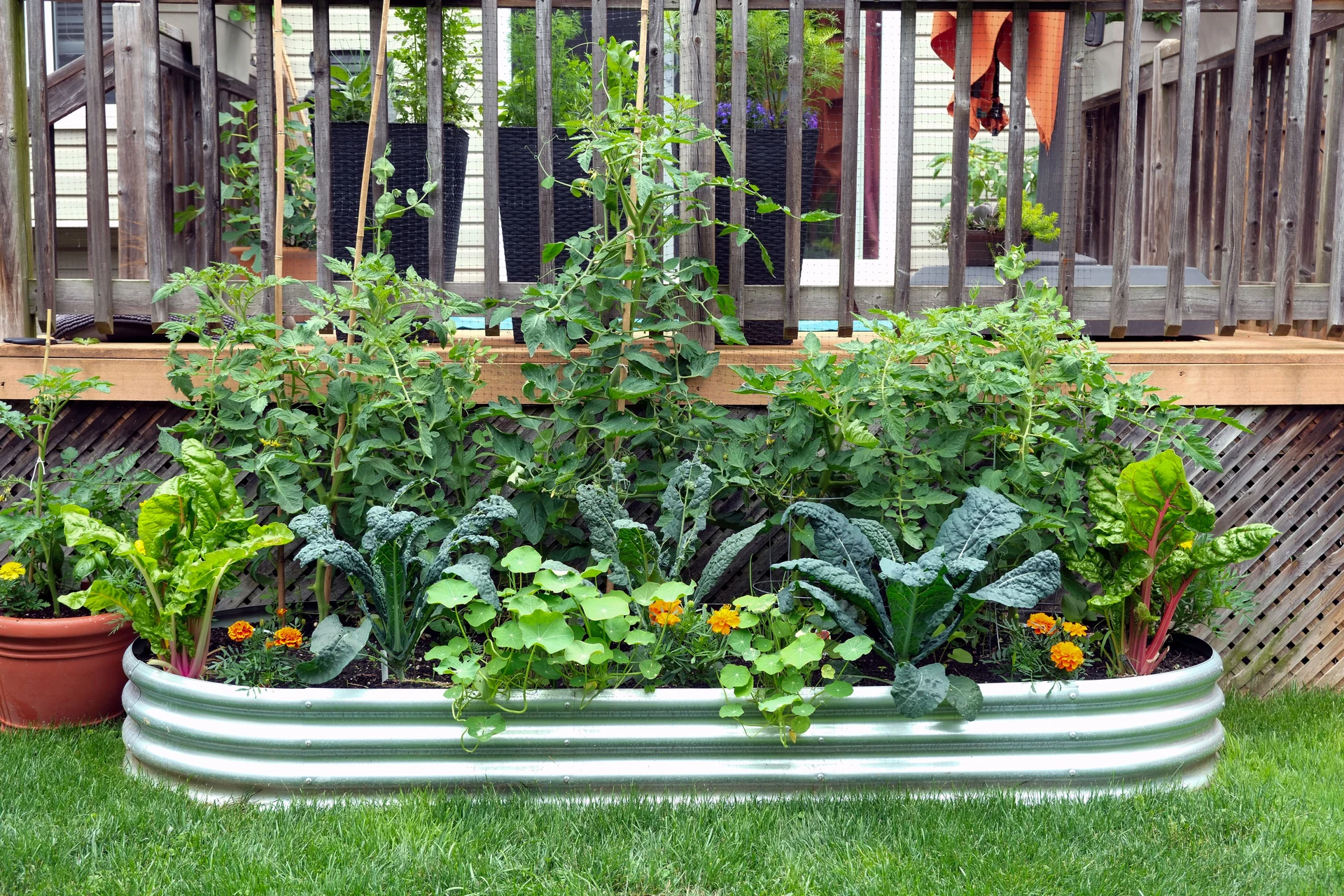 eco-friendly garden