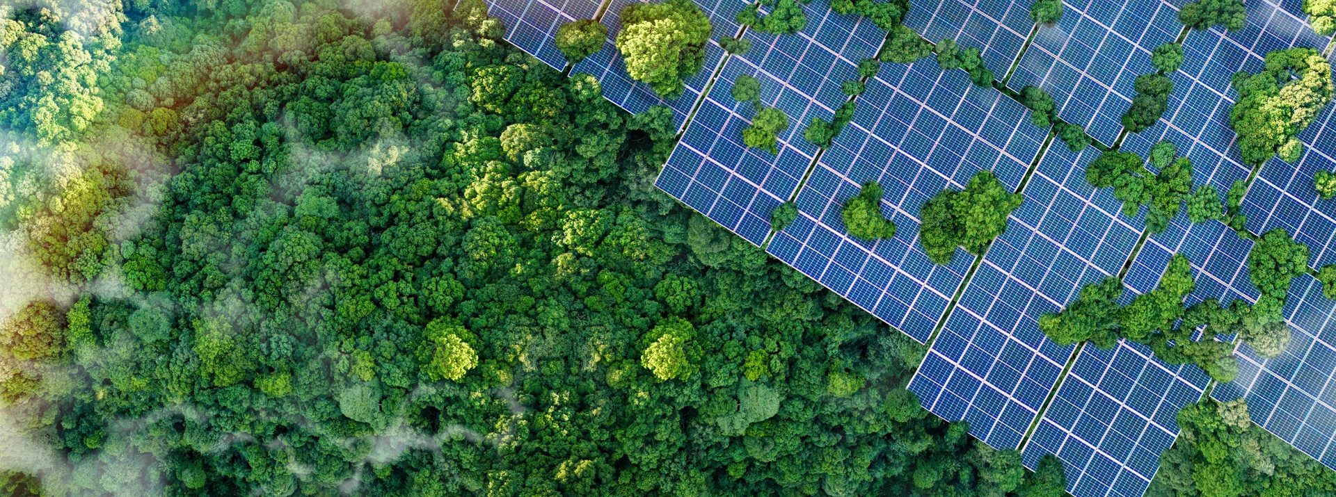 green technology