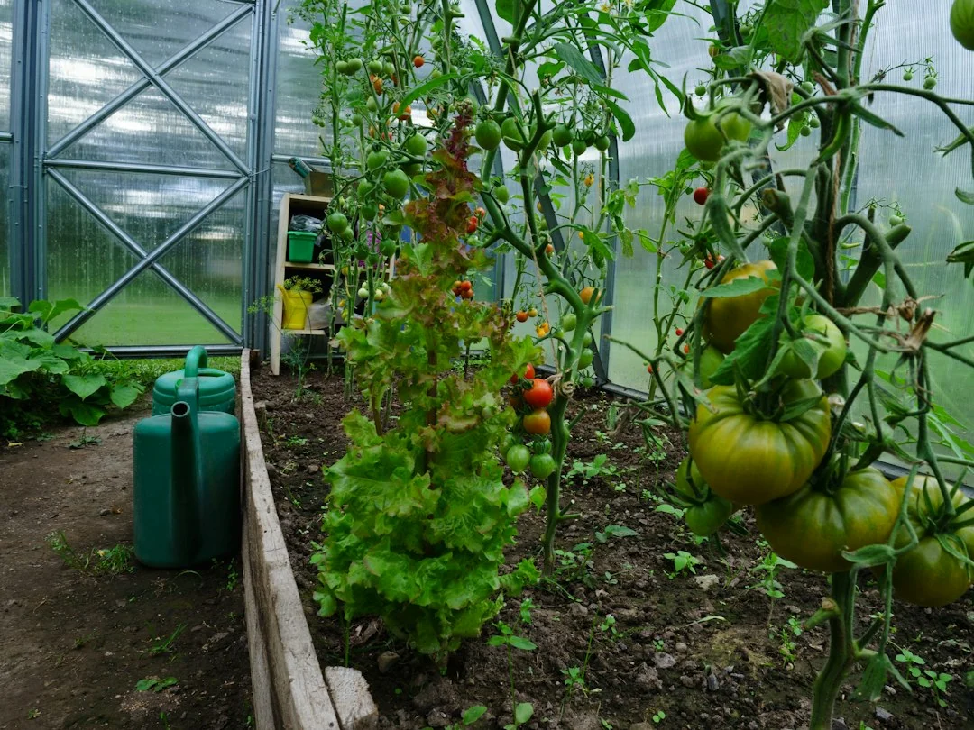 sustainable gardening