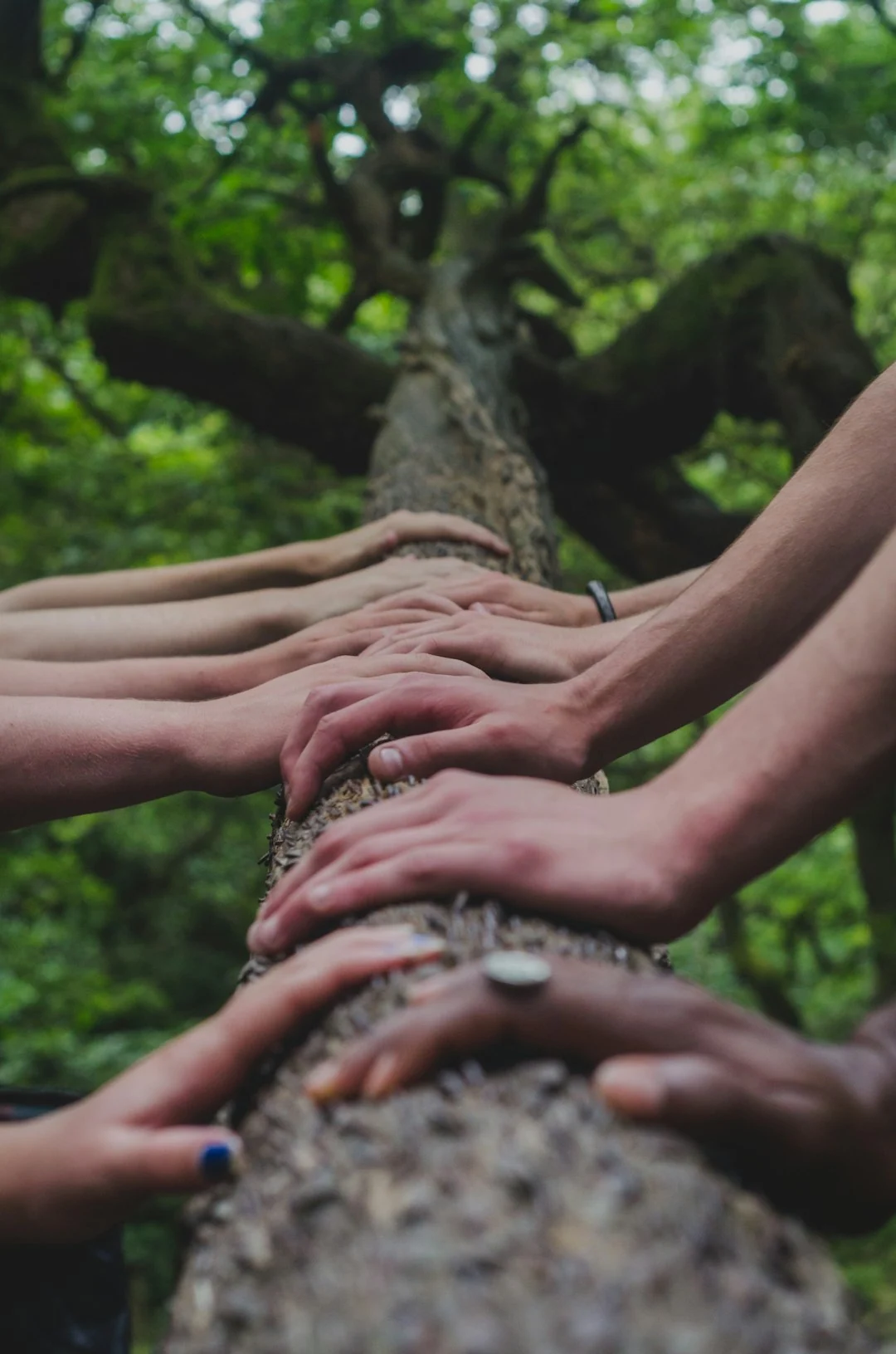 community garden
