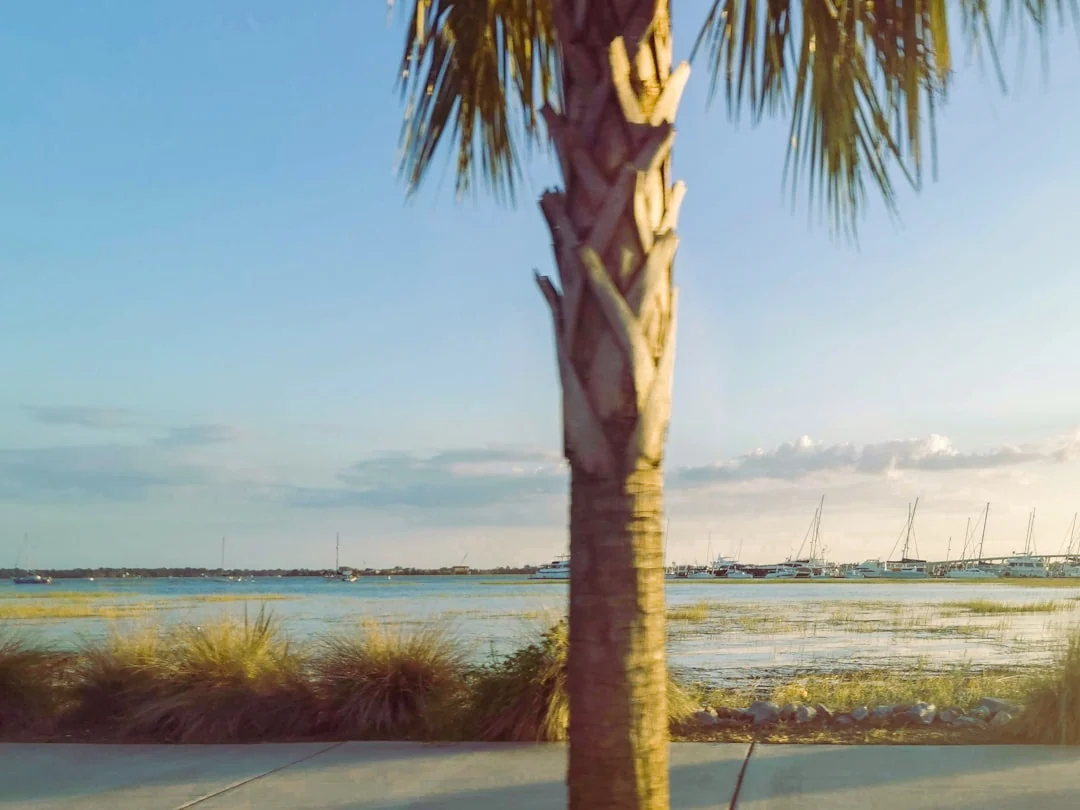 florida summer