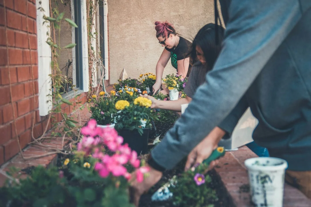 community gardening