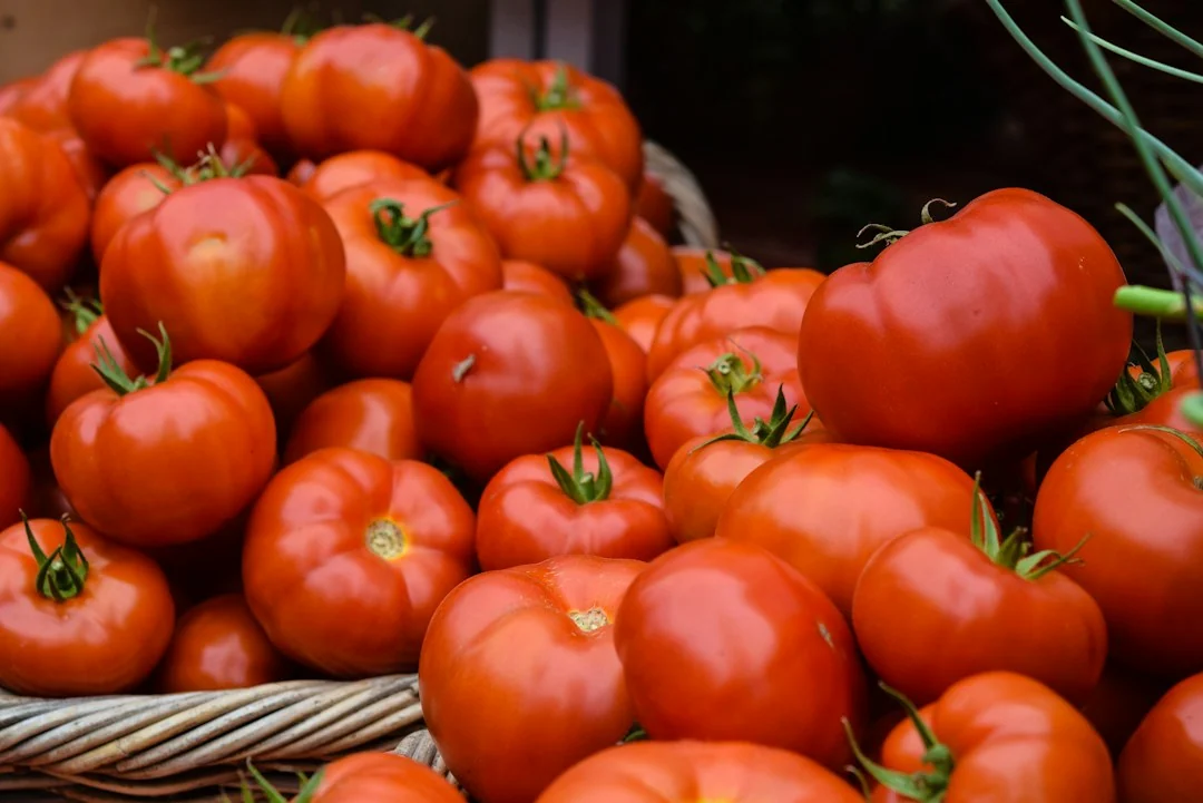 local farmers market